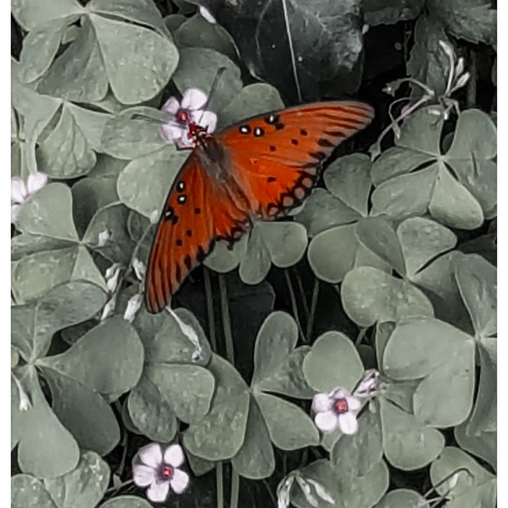 Meet your Posher, Katherine